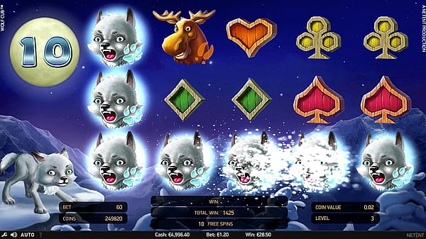 Wolf cub slot huge win