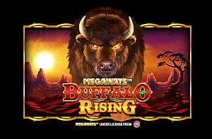 Buffalo Rising Megaways slot at PlayFrank online casino